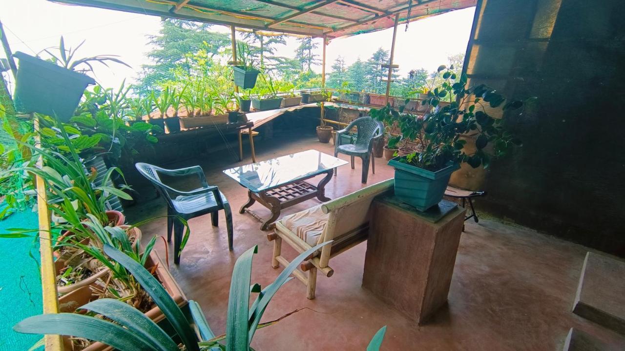 Mcleodganj Bed & Breakfast McLeod Ganj Bagian luar foto