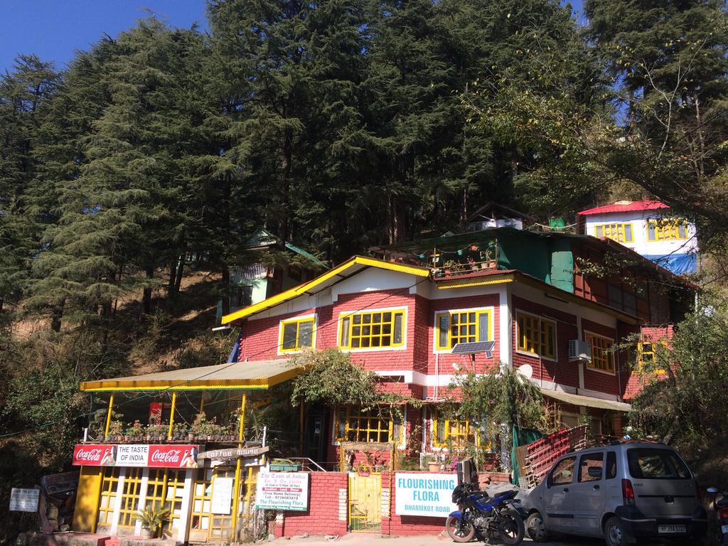 Mcleodganj Bed & Breakfast McLeod Ganj Bagian luar foto